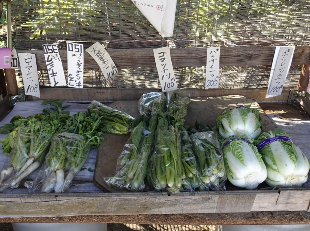 東京都で育てる主要な野菜