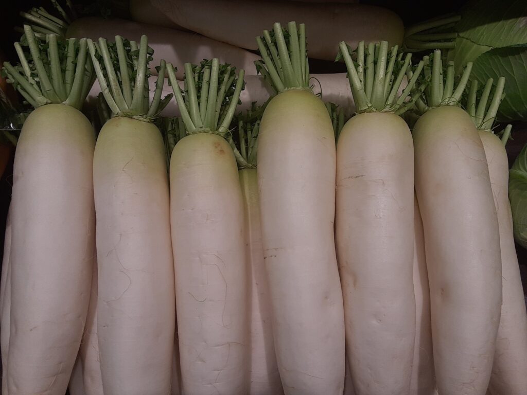 千葉県で美味しい野菜を育てよう！