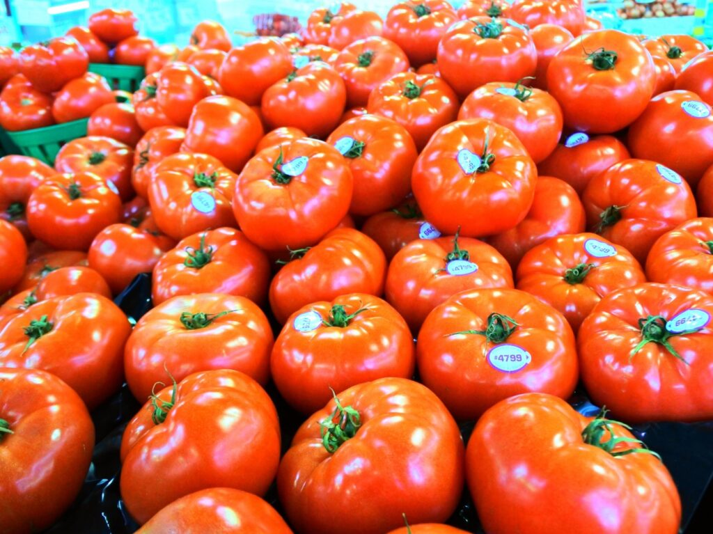 カナダの地で育つ美味しい野菜