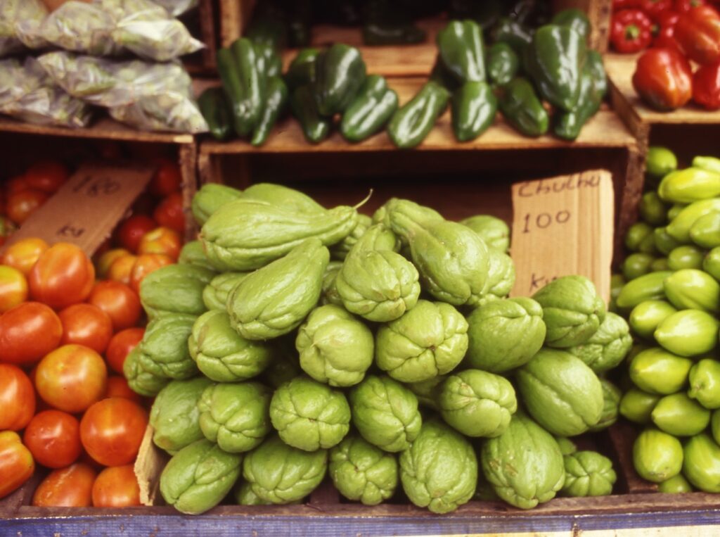 美味しいブラジルの野菜