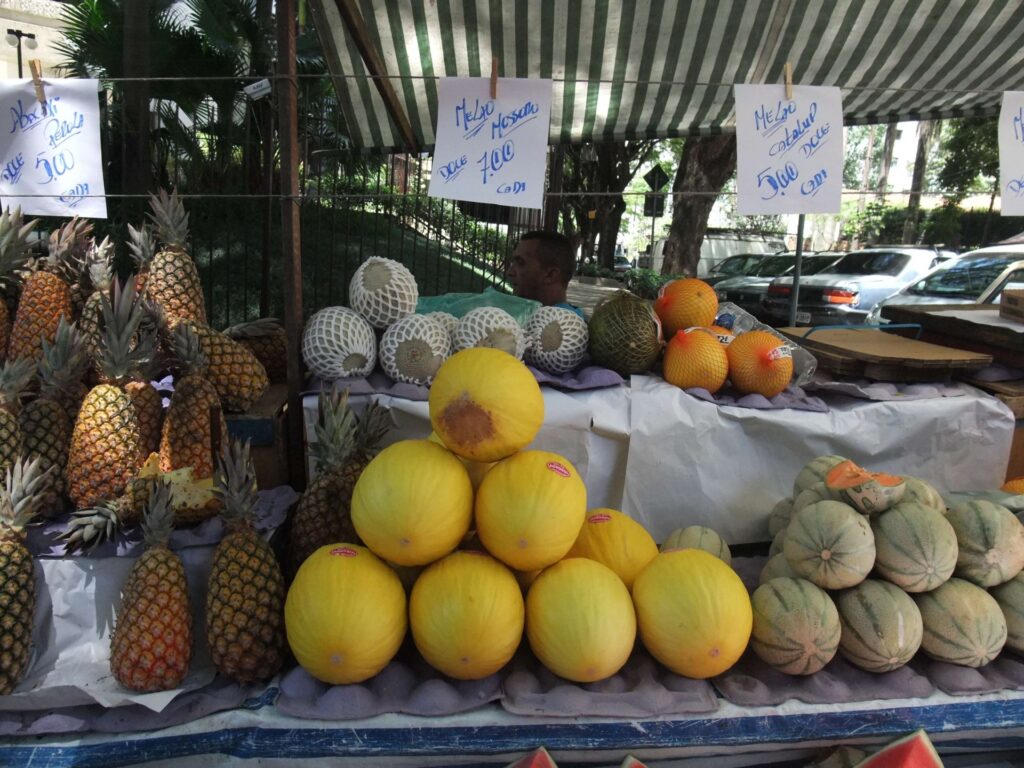 ブラジルの果物で庭を彩ろう