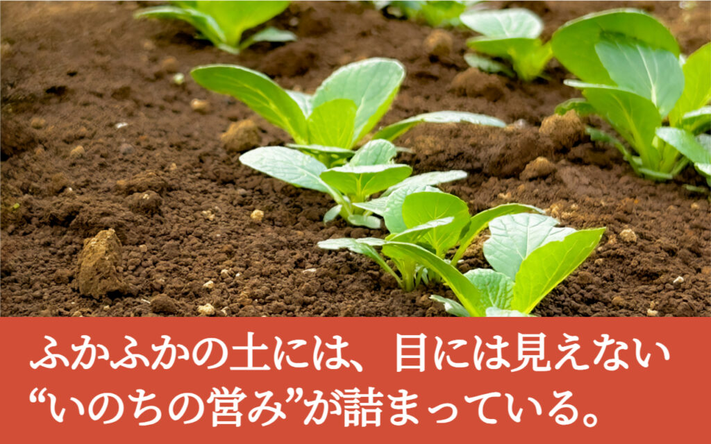 ふかふかの土には、目には見えない“いのちの営み”が詰まっている。