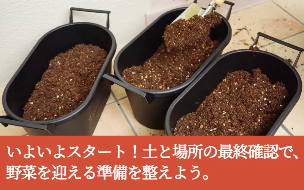 いよいよスタート