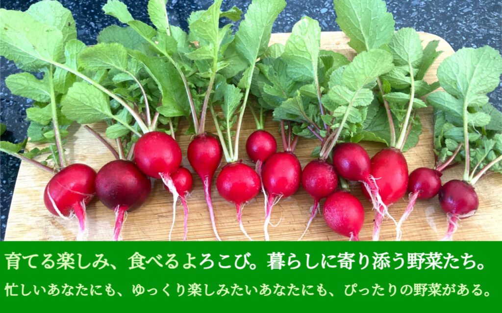 育てる楽しみ、食べるよろこび。暮らしに寄り添う野菜たち。忙しいあなたにも、ゆっくり楽しみたいあなたにも、ぴったりの野菜がある。