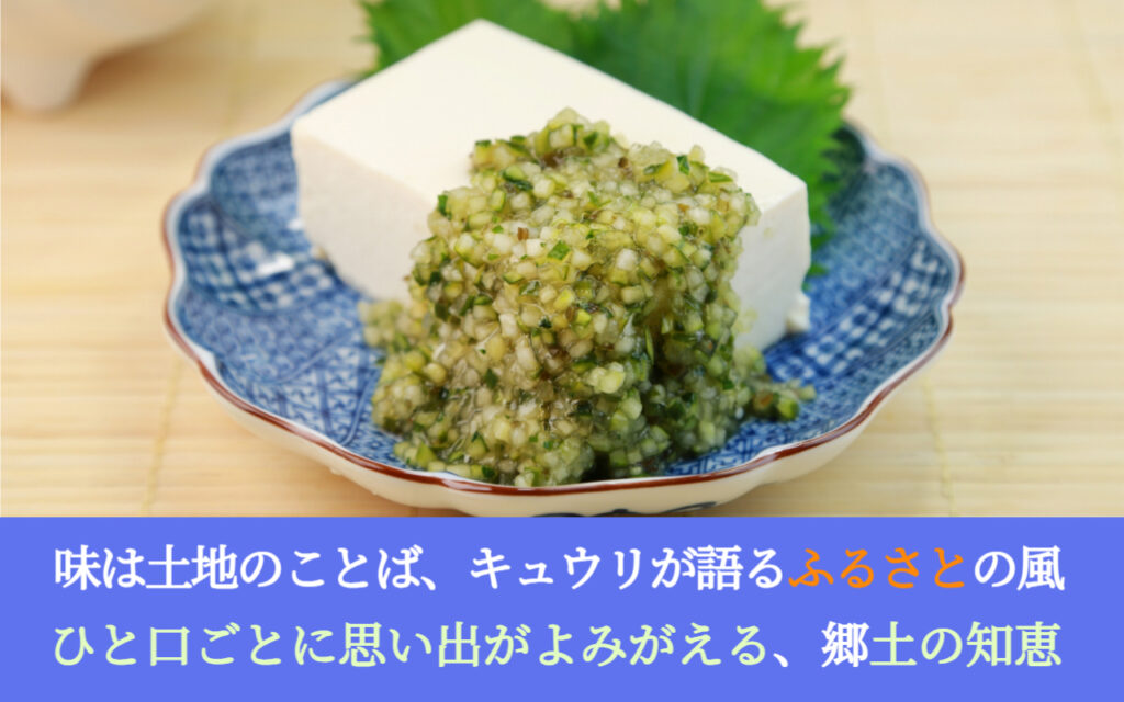 味は土地のことば、キュウリが語るふるさとの風景─ひと口ごとに思い出がよみがえる、郷土の知恵。