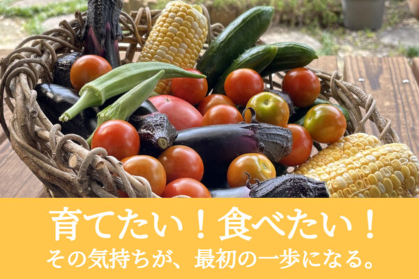 野菜選び｜育てたい！食べたい！その気持ちが、最初の一歩になる。