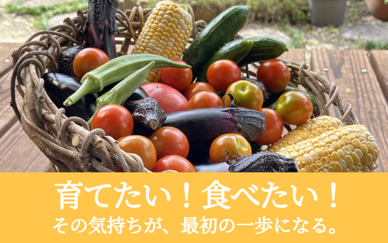 野菜選び｜育てたい！食べたい！その気持ちが、最初の一歩になる。