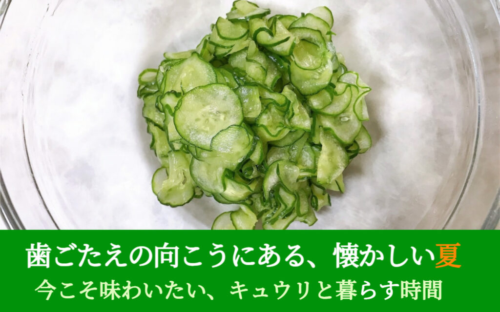 歯ごたえの向こうにある、懐かしい夏─今こそ味わいたい、キュウリと暮らす時間。