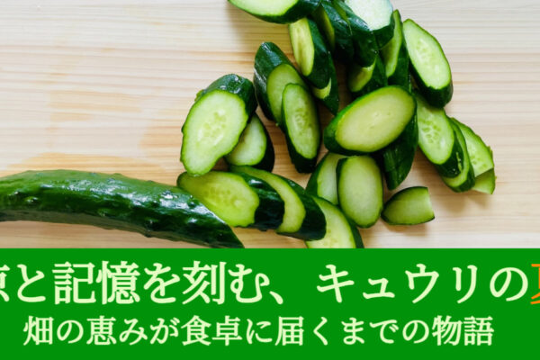 涼と記憶を刻む、キュウリの夏。畑の恵みが食卓に届くまでの物語。
