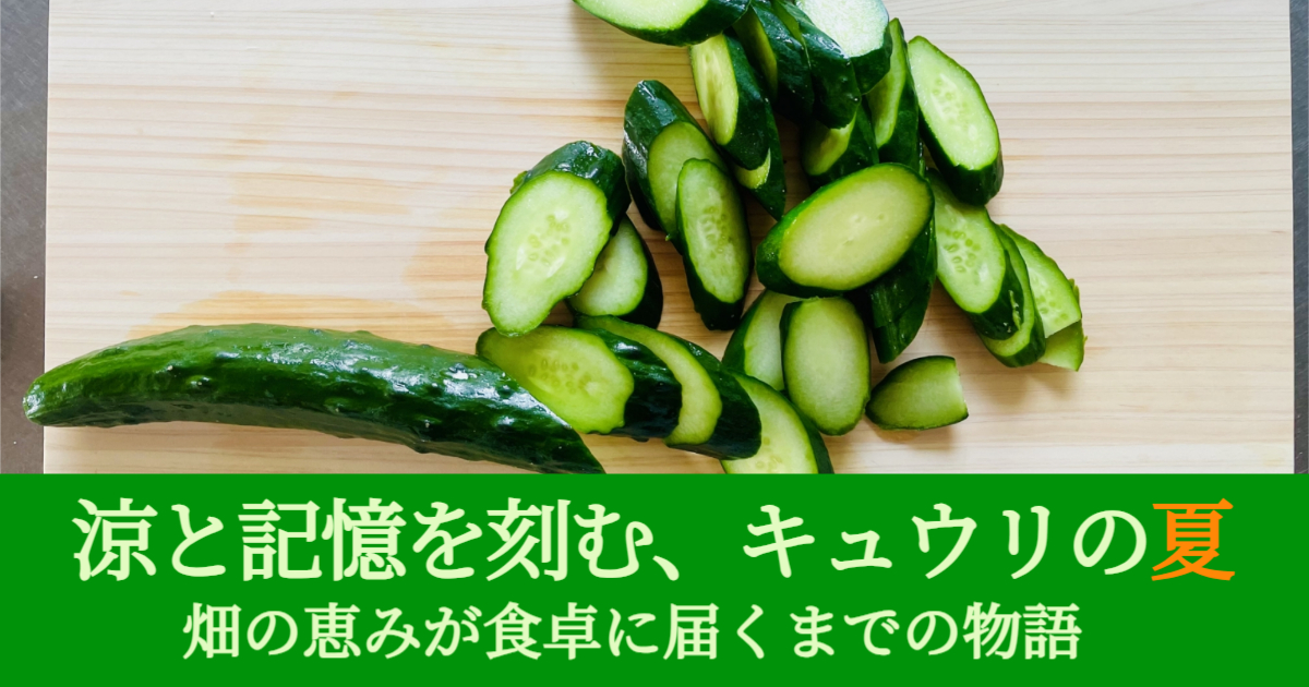 涼と記憶を刻む、キュウリの夏。畑の恵みが食卓に届くまでの物語。