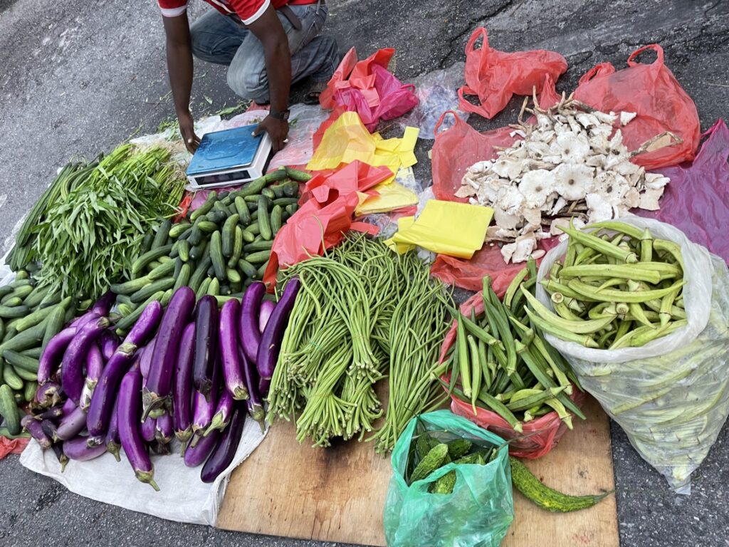 マレーシア野菜の自家栽培ガイド