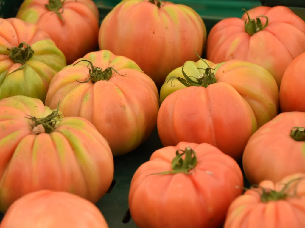 ポルトガルで栽培しやすい野菜