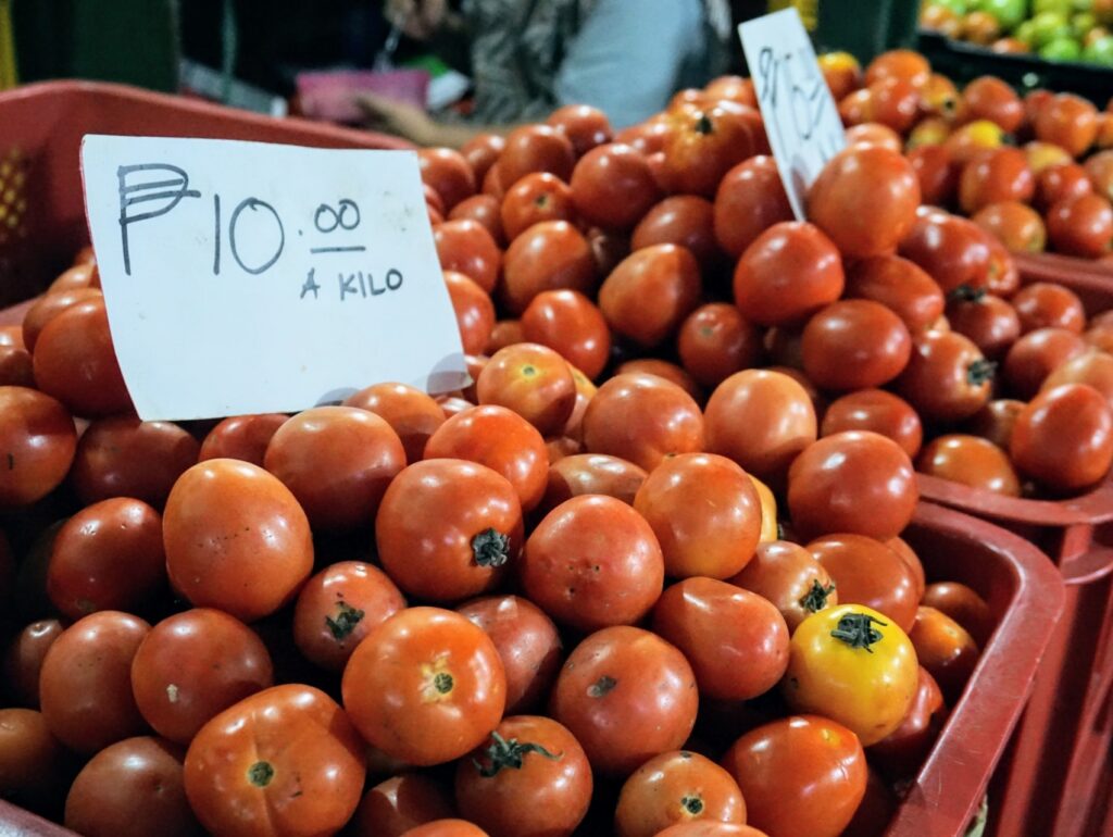 フィリピンの主要野菜を