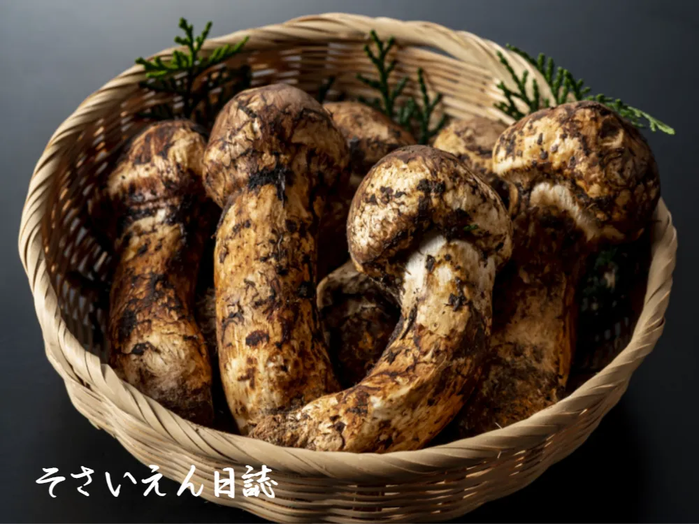 松茸と舞茸香る山人のごちそう