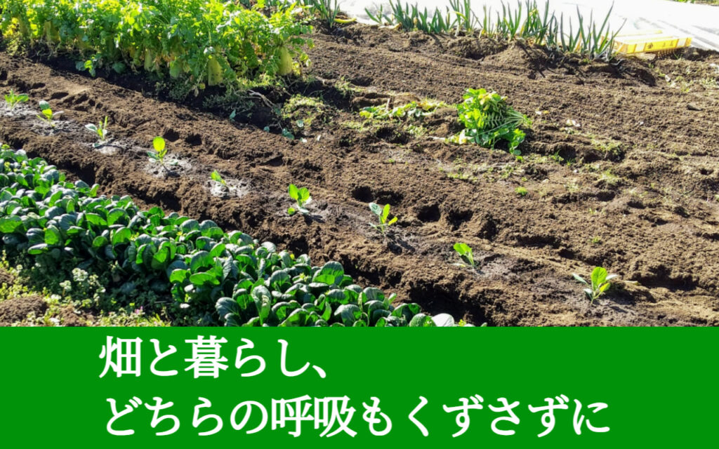 畑と暮らし、どちらの呼吸もくずさずに