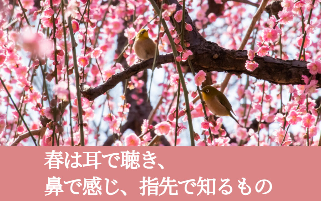 春は耳で聴き、鼻で感じ、指先で知るもの
