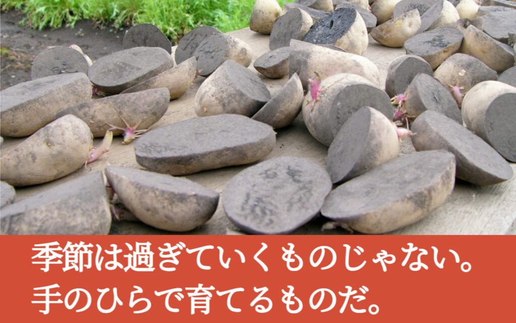 季節は過ぎていくものじゃない。手のひらで育てるものだ。