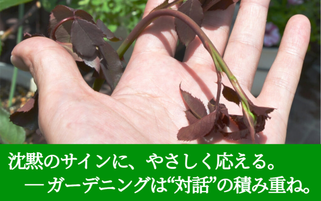 沈黙のサインに、やさしく応える。 ― ガーデニングは“対話”の積み重ね。