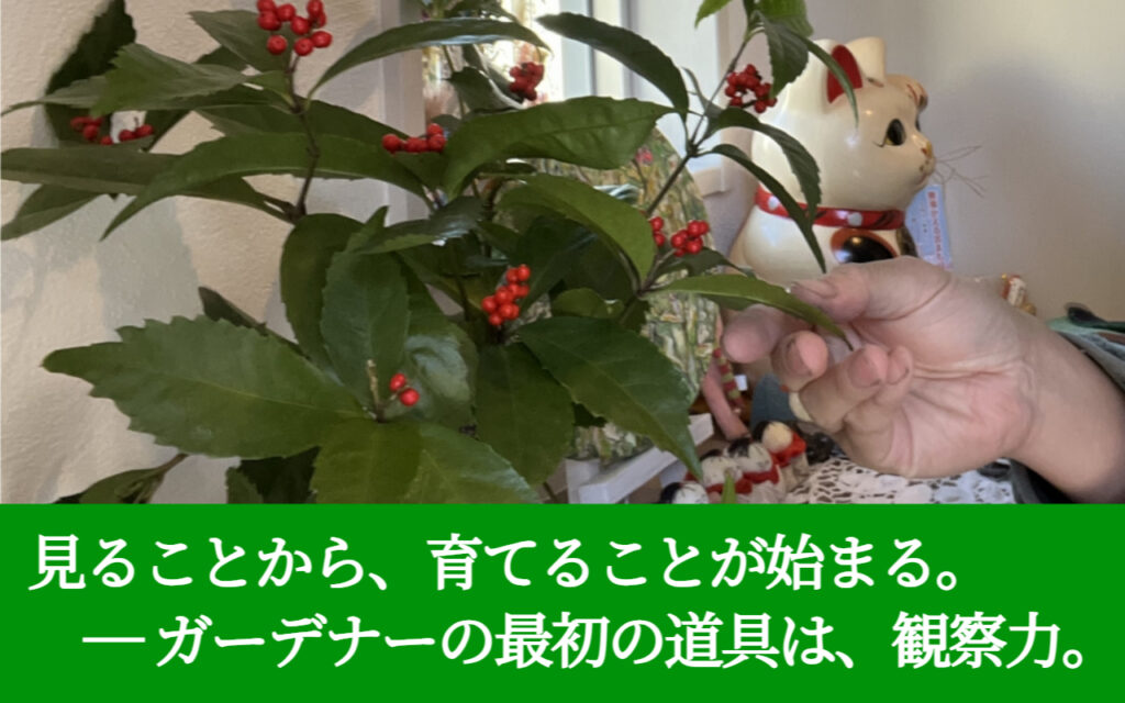 見ることから、育てることが始まる。 ― ガーデナーの最初の道具は、観察力。
