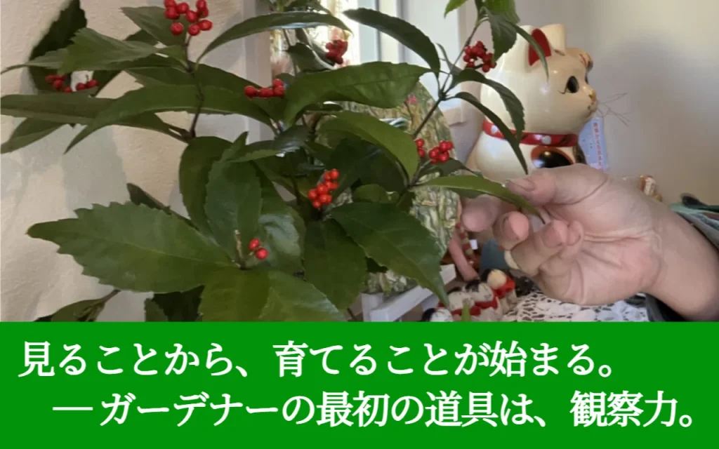 見ることから育てることが始まる