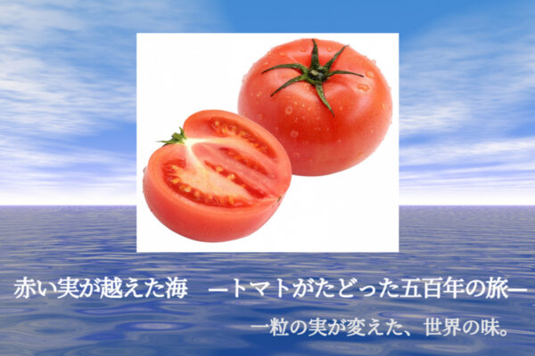 赤い実が越えた海　—トマトがたどった五百年の旅—一粒の実が変えた、世界の味。