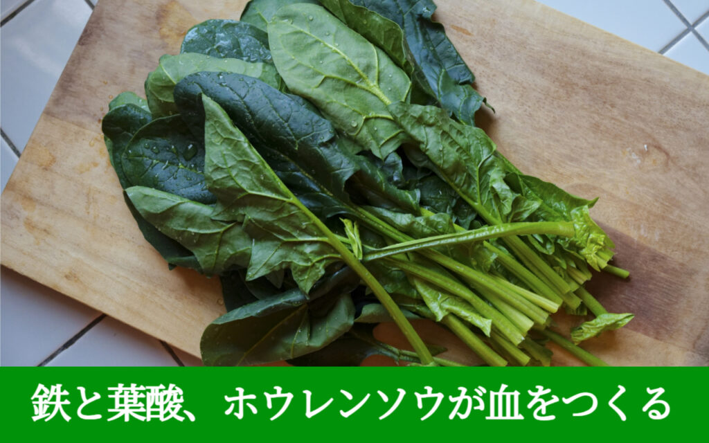 鉄と葉酸、ホウレンソウが血をつくる