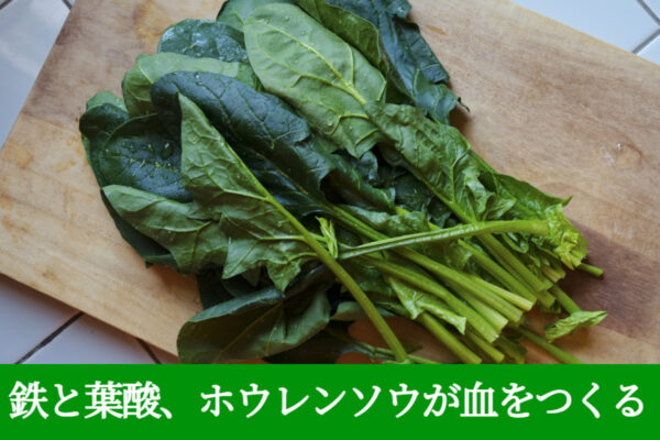 鉄と葉酸、ホウレンソウが血をつくる