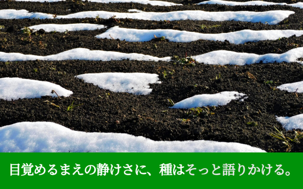目覚めるまえの静けさに、種はそっと語りかける。