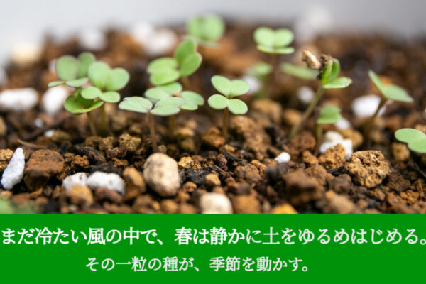 まだ冷たい風の中で、春は静かに土をゆるめはじめる。その一粒の種が、季節を動かす。