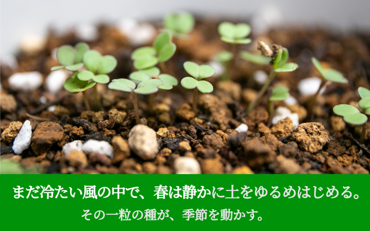 まだ冷たい風の中で、春は静かに土をゆるめはじめる。その一粒の種が、季節を動かす。