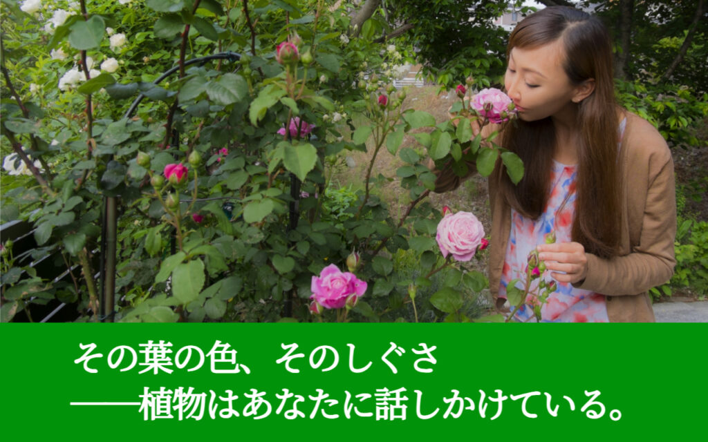 その葉の色、そのしぐさ――植物はあなたに話しかけている。