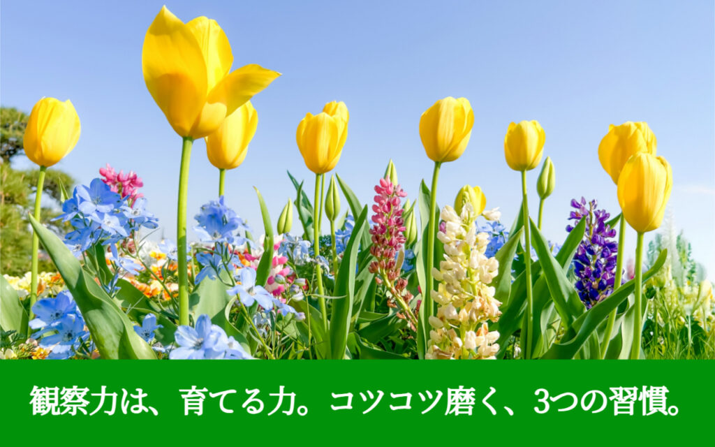 観察力は、育てる力。コツコツ磨く、3つの習慣。
