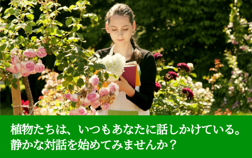 植物たちは、いつもあなたに話しかけている。静かな対話を始めてみませんか?