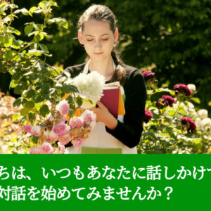 植物たちは、いつもあなたに話しかけている。静かな対話を始めてみませんか？