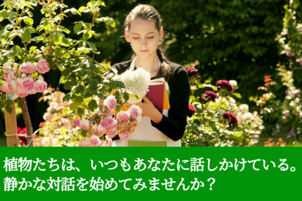 植物たちは、いつもあなたに話しかけている。静かな対話を始めてみませんか？