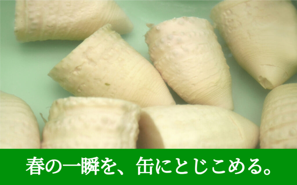 春の一瞬を、缶にとじこめる。