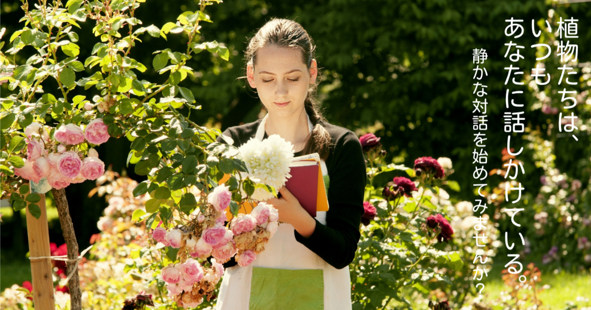 植物たちは、いつもあなたに話しかけている。静かな対話を始めてみませんか？