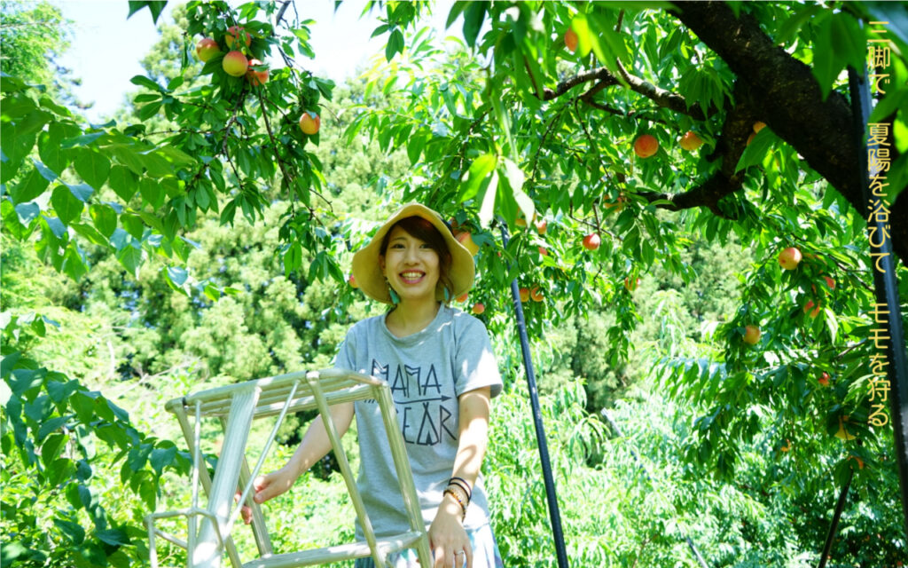 三脚で 夏陽を浴びて モモを狩る