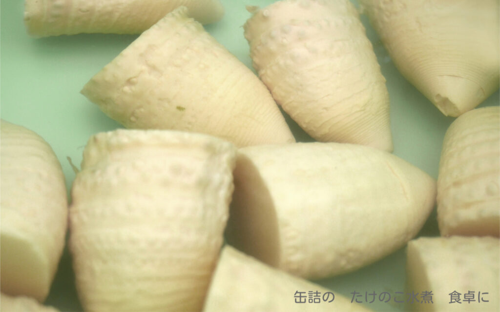 缶詰の たけのこ水煮 食卓に