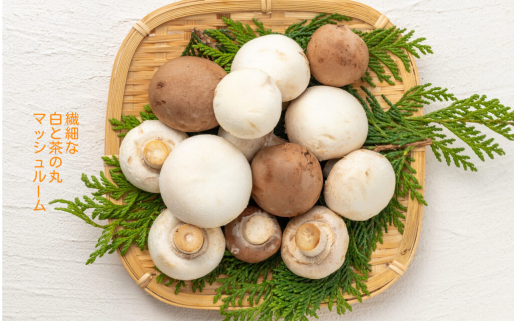 繊細な白と茶の丸マッシュルーム