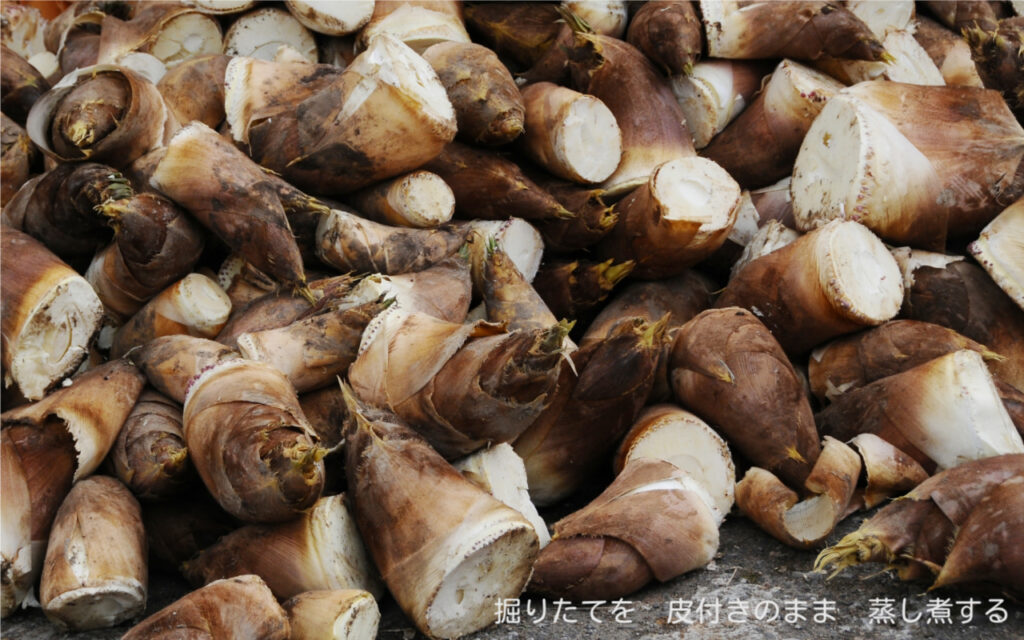掘りたてを 皮付きのまま 蒸し煮する