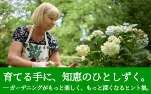 育てる手に、知恵のひとしずく。― ガーデニングがもっと楽しく、もっと深くなるヒント集。
