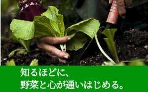 知るほどに、野菜と心が通いはじめる。