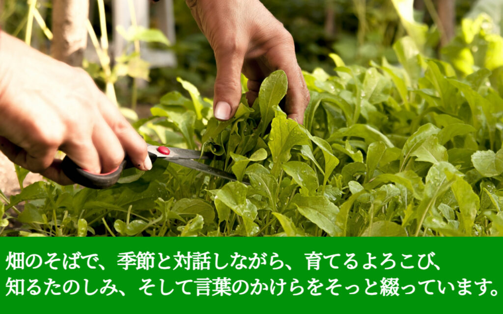 畑のそばで、季節と対話しながら、育てるよろこび、知るたのしみ、そして言葉のかけらをそっと綴っています。