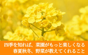 四季を知れば、菜園がもっと楽しくなる。春夏秋冬、野菜が教えてくれること。