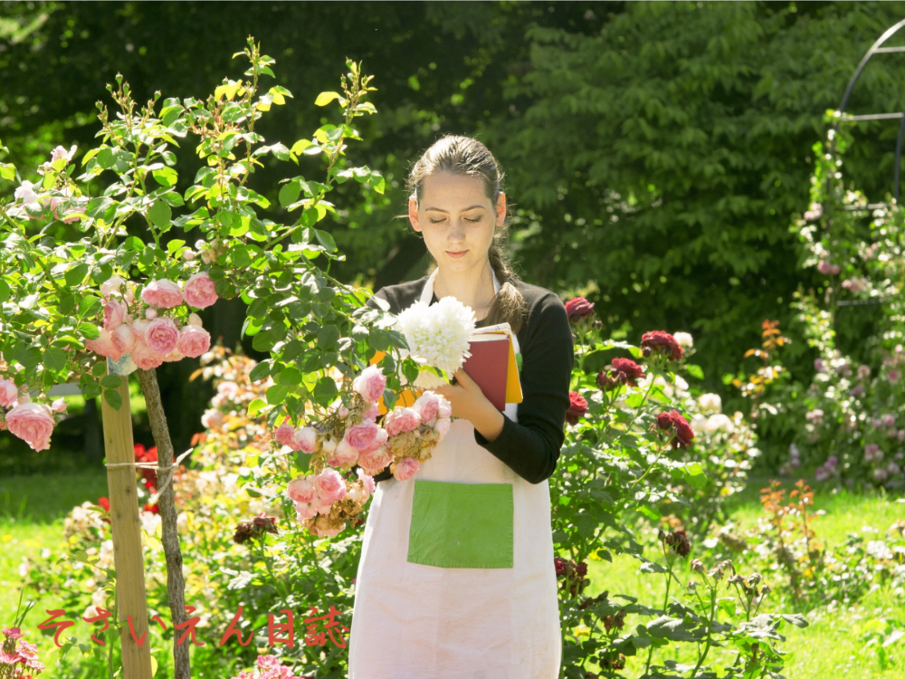 庭日誌、バラの庭で庭手帖をつける