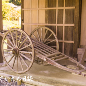 菜園技術 納屋軒下の荷車