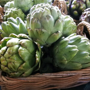 緑の蕾、アーティチョーク