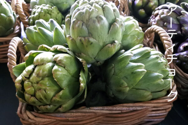 緑の蕾、アーティチョーク