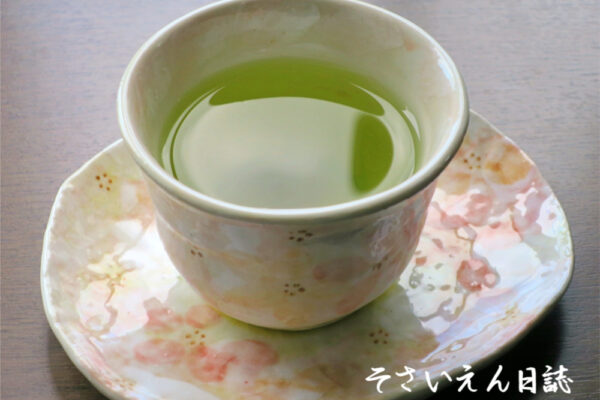 春の器で緑茶